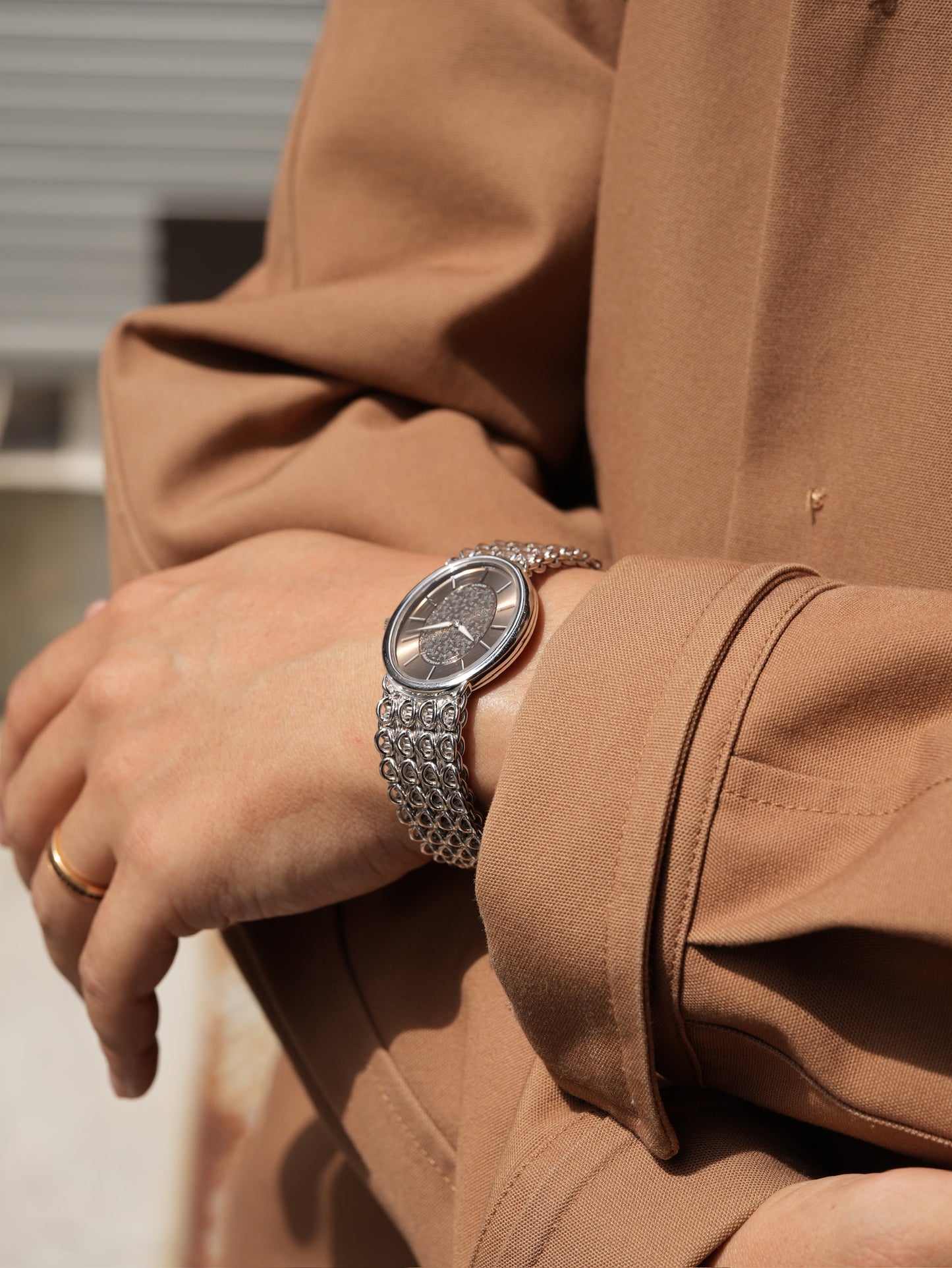 Patek Philippe / Ellipse