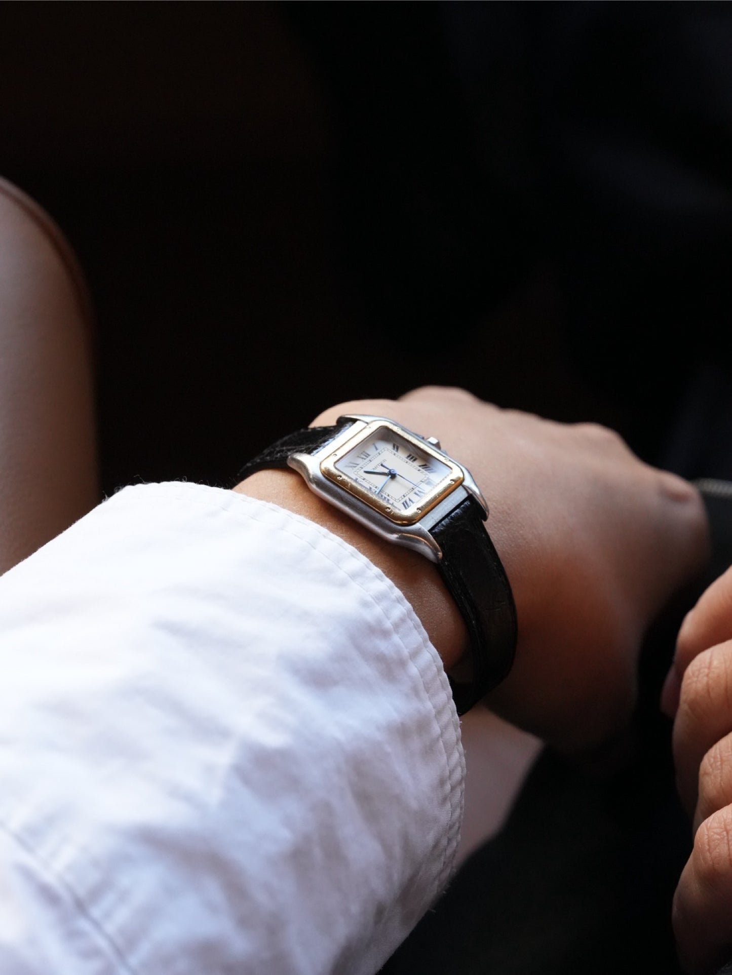 Cartier Panthere With Box 