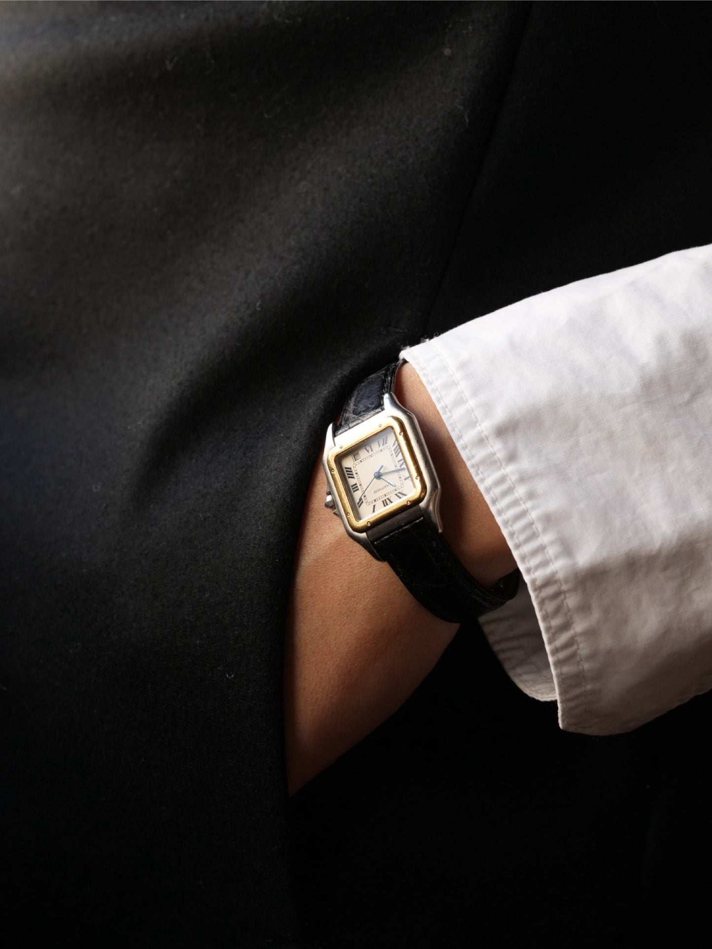 Cartier Panthere With Box 