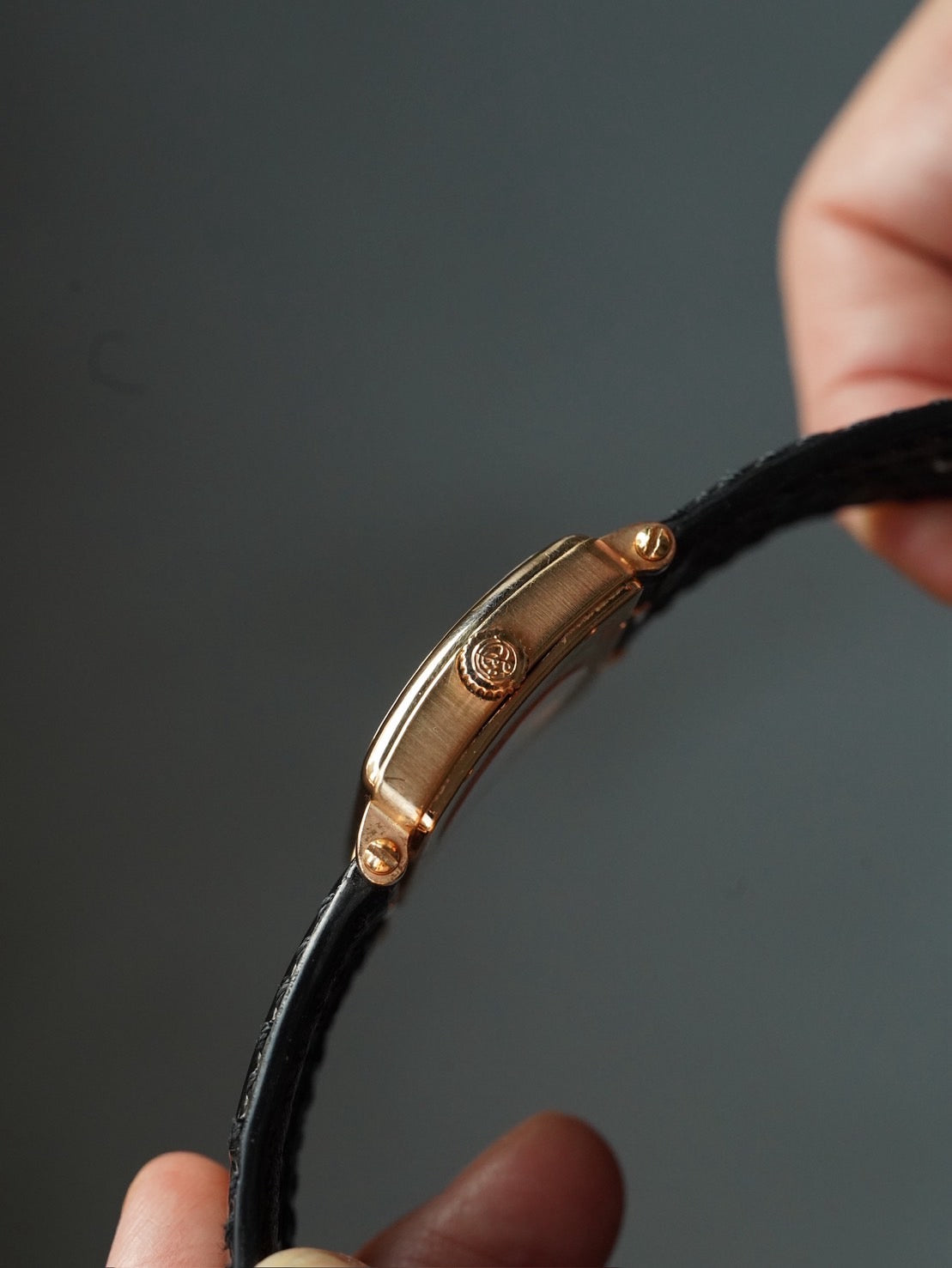 Roger Dubuis Too Much 28pcs limited 